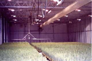 De SPUITBOOM